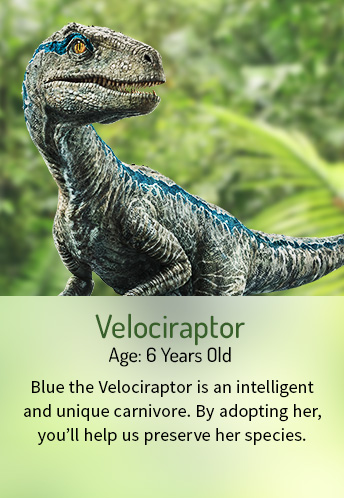 dinosaur protection group